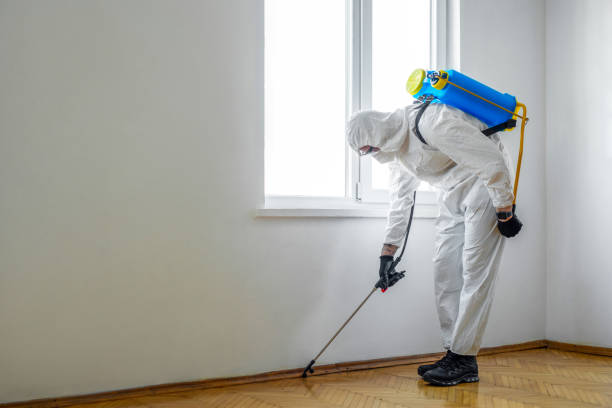 Best Pest Control for Multi-Family Homes  in Montgomery, TX